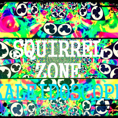 Squirrel Zone