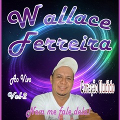 Wallace Ferreira 2013
