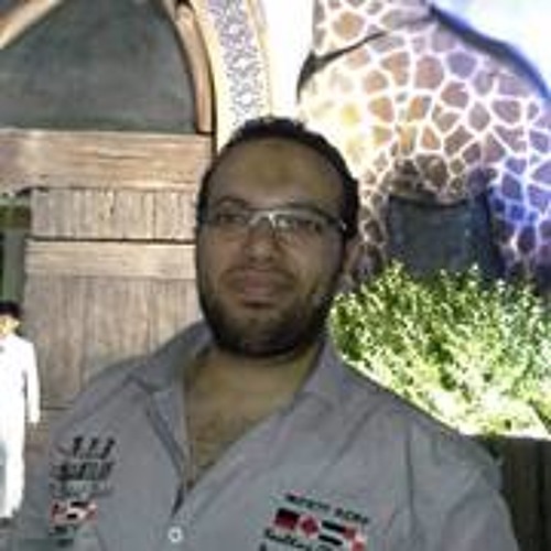 Mahmoud Elzini’s avatar