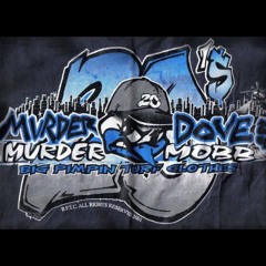 the one and only 24D