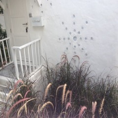 Vichy P. Phongvuttikul