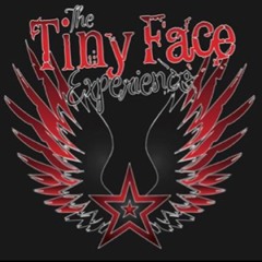 TheTinyFaceExperience