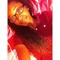 DestinyEdwards22