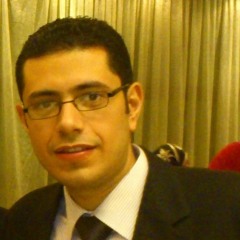 Ahmed M Dowidar