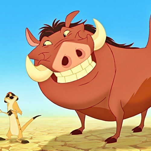 Timon & Pumbaa’s avatar