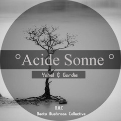 Acide Sonne
