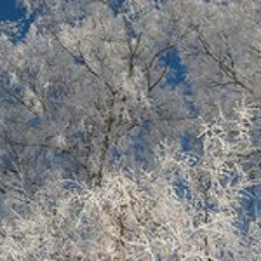 Karl-Martin Gustafsson