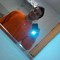 Joseph Alex Alvarado