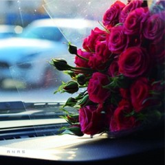 maha alhajri 1