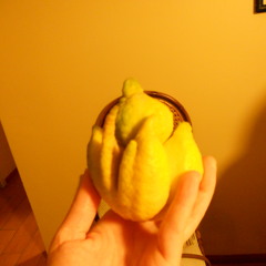 Maca Isidora Aracena C