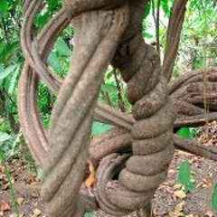 Notengonombre Soyestoy