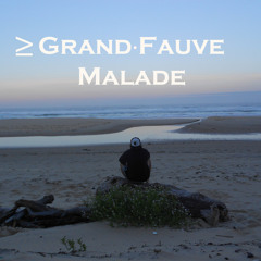 ≥ Grand Fauve Malade