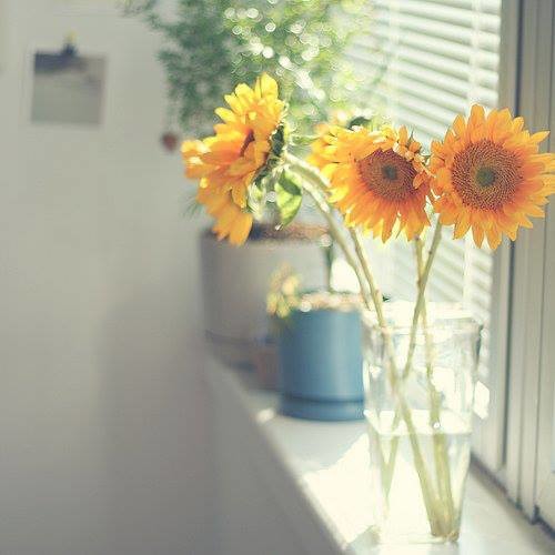 Ôi, giàn thiên lý đã xa! - Tuấn Ngọc, Bằng Kiều