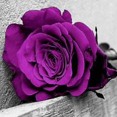 Najmah_M
