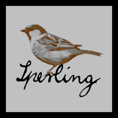 Sperling