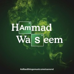 Hammad Waseem