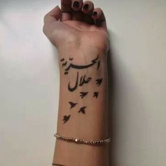 Engy samir