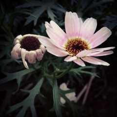 lolsy1212