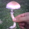 JuanAcvdo