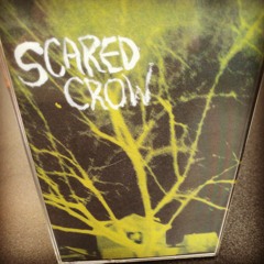 scared crow