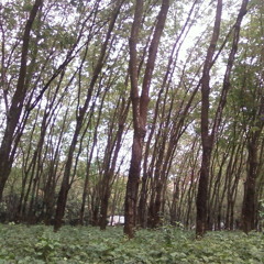 Fatin-Yang Terdalam- HUT MNCTV