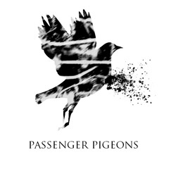 Passenger Pigeons Music