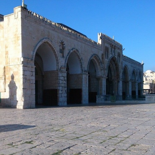 حزن يا طير