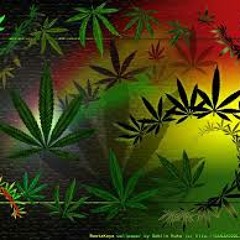 REGGAE