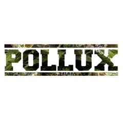 PolluxProductions