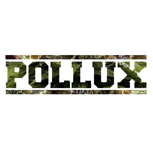 Kastor&Pollux - Da Bricht sie sich die Beine!