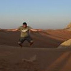Walid A.shehata