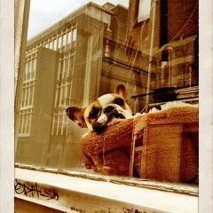 Miss Let down (demo)