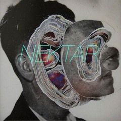 NEKTARtheband