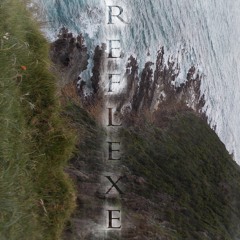 Reflexe