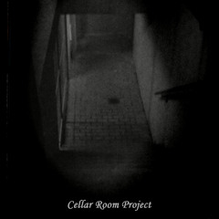 Cellar Room Project