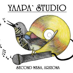 Yaapa Studio