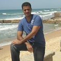 Wael Mohamed 17