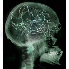 Catastrophic Mind