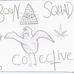 BOON SQUAD COLLECTIVE