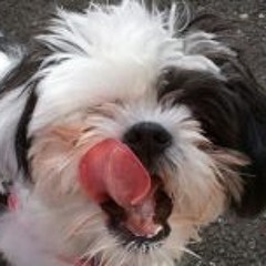 Liz Anastasia Denney