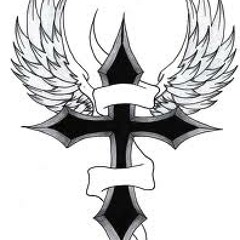 Steve Conte -  Stray