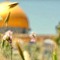 Razan_601