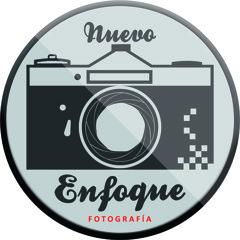 Fernando Gonzalez 204