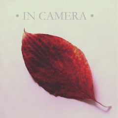 In Camera