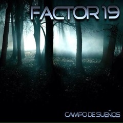 Factor 19