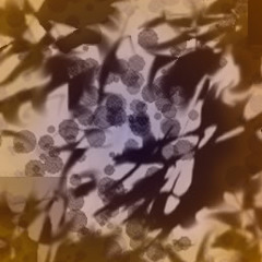 Connor James Brearey