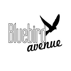Bluebird Avenue