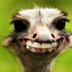 Kathy Snipes Kennedy