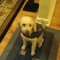 Eddie_Little
