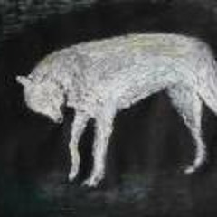 Tamar Rozenblat Goiati